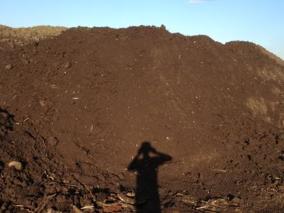 Купить торф Краснознаменск